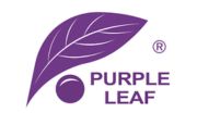 Purple Leaf Logo Purple Leaf Logo